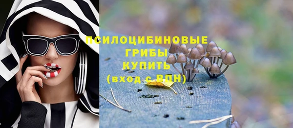 прущие крисы Балахна