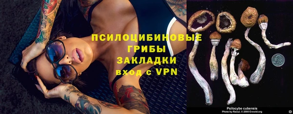 прущие крисы Балахна