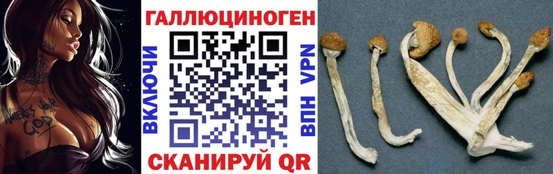 Псилоцибиновые грибы мицелий ОМГ ОМГ tor Краснознаменск дарнет шоп
